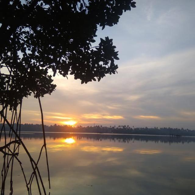 Lakefront Beach Homes Cherai Beach ภายนอก รูปภาพ